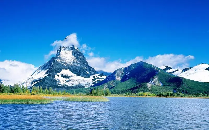 科技智能化数字化